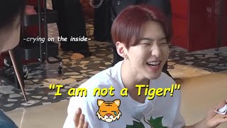 Hoshi Gose Moments That Are Effortlessly Funny