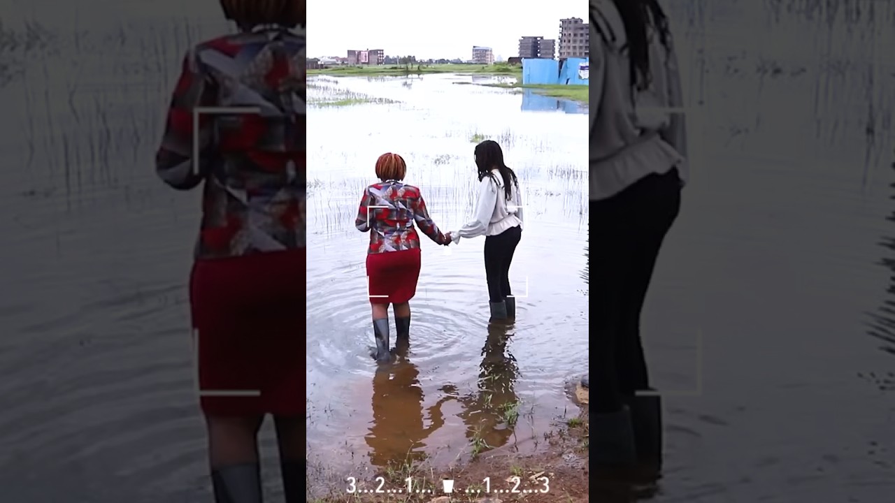 Conned or Ignorant?Premiers today at 2pm