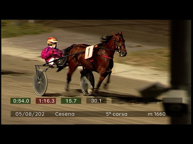 2024 08 05 | Corsa 5 | Metri 1660 | Premio Magnum Wonder Algida