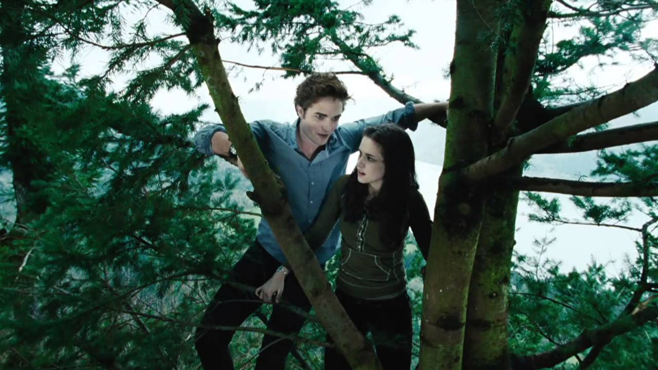 Image is from the film Twilight (2008). A teenage couple talk to one another whilst high up in the branches of a tree.