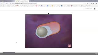 Bacterial Endospores