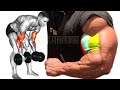 5  BEST BICEPS WORKOUT AT GYM TO GET BIGGER ARMS FAST