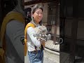 日向ぼっこしてた猫ちゃんを撮ってみた