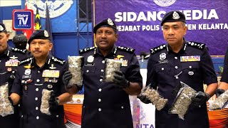 Download Lagu Wanita ketua sindiket dadah dikehendaki, bunga ganja bernilai RM1.82 juta dirampas MP3