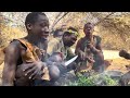 The Massive Hadzabe Wilderness Feast After Successfull Day of hunt | African tribe