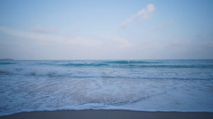 The Ocean