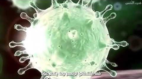 ولقد اخذناهم بالعذاب 🍃القارئ عبدالرحمن مسعد