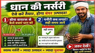 धान की नर्सरी उगाने का सही तरीका जानें। #paddy #nursery #kheti #krishihelper #farming #rice#kisan 