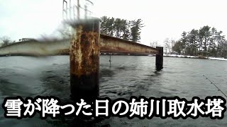 【琵琶湖水中動画】雪が降った日の姉川河口付近の取水塔 南浜 湖東 北湖 #取水塔 #水中動画 #琵琶湖バス釣り