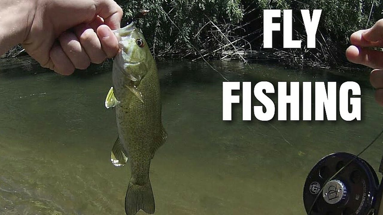 Fly Fishing Smallmouth Bass in Streams YouTube