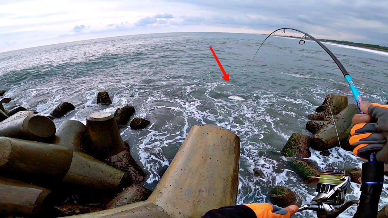 CASTING di dermaga baru ikan nggak ada habisnya // light shore jigging