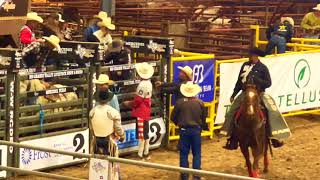 Rio Grande Valley Livestock Show &  Rodeo Part 1 ,March 14, 2024, Mercedes Tx.    1080WebShareName