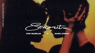 [COVER] : SENORITA (@shawnmendes  @camilacabello) by AY X ALVA
