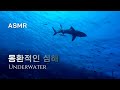 [ASMR] 몽환적인심해🐬 너의이름은 OST, 미츠하테마, 황혼의 시간 | Underwater, music, piano, sleep, Relaxing water, ambience