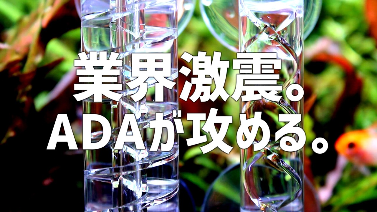 ADA アクアリウム　引退品 超々速報】ADAが遂に17年封印していた