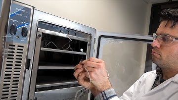 FreeZone Stoppering Tray Dryer Setup