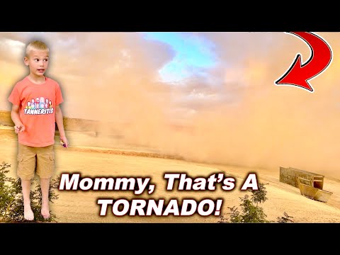 Tornado In My Backyard!