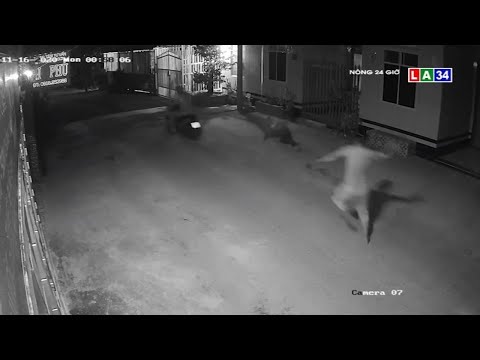 Camera nóng | Trộm chó bất thành, "cẩu tặc" bị chủ nhà đuổi chạy thục mạng | LONG AN TV