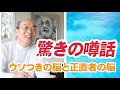 【驚きの噂話】ウソつきの脳と正直者の脳