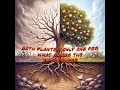 Why You Might Not Be Growing Spiritually Even If You Read the Bible