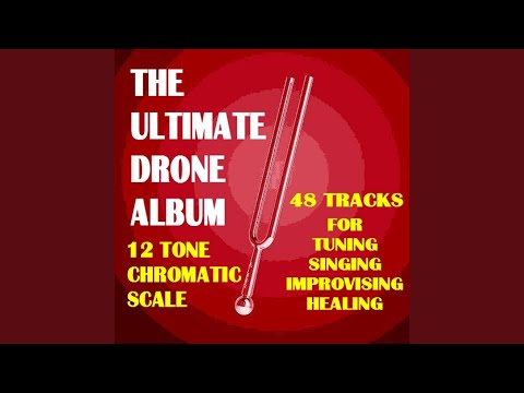 A# - Bb Tuning