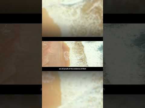 آيات الله في الكون تحيط بنا الشيخ بدر المشاري