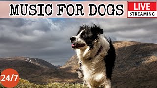 [LIVE] Dog Music🎵Dog Relaxing Calming Music🐶Anti Separation anxiety relief music💖Dog Sleep Music! 3
