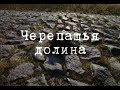 Чернобыльские джунгли. 20 лет без человека... Часть 3 [Черепашья долина] | Film Studio Aves
