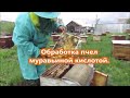 Обработка пчелосемей муравьиной кислотой. Ч.-1