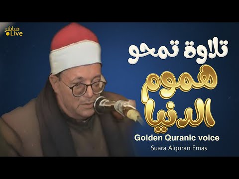 صوت يوقظ القلب من سباته آيات تطيب الجراح