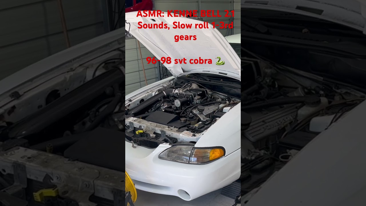 ASMR: KENNE BELL 2.1 96-98 SVT COBRA 🐍