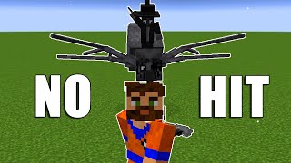 Can you beat the Freakager WITHOUT getting hit? (no shield) In Minecraft