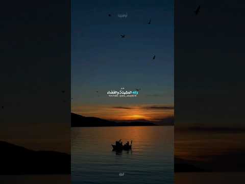 وشاء الله أمرا قد قضاه البحداوي  78 أبوعبيدة البحداوي