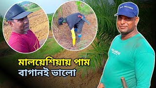 মালয়েশিয়ায় পাম বাগানই ভালো | New vlog new Malaysia