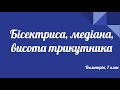 Урок геометрії 7 клас. Медіана, бісектриса, висота трикутника