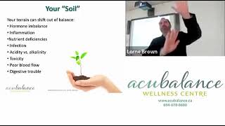 PCOS FROM A TO Z  (POLYCYSTIC OVARY SYNDROME) - Acubalance