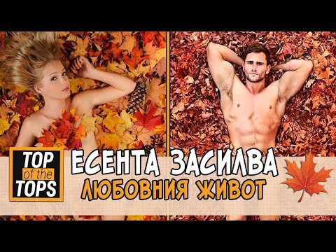 Видео: Как да заемем сайта през есента? Засадете чесъна