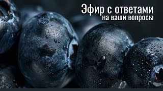 видео: Эфир с ответами на вопросы (27.12.24) картинка: Эфир с ответами на вопросы (27.12.24)