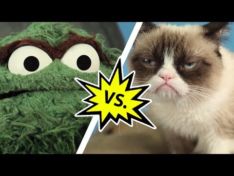 Video: Grumpy Cat Lanceert Een Koffiemerk
