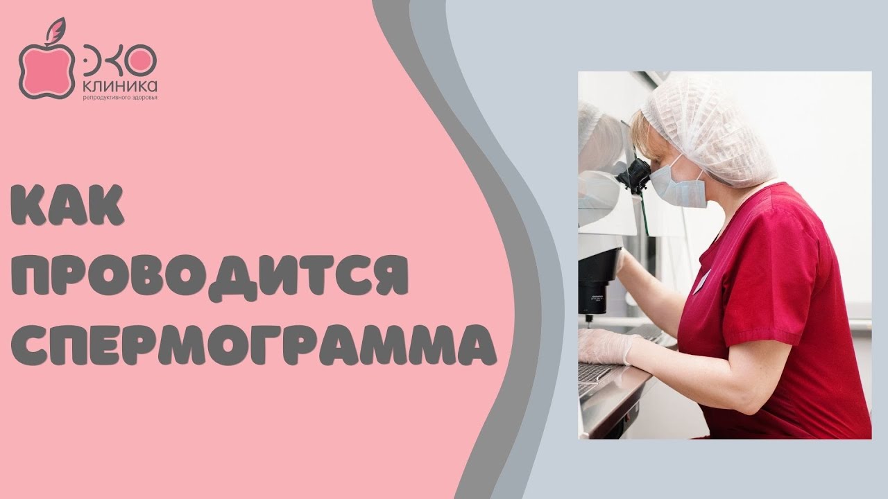 Как проводится спермограмма - YouTube