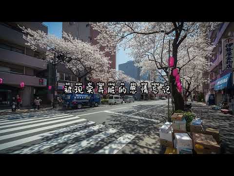 韩小欠【只剩半条命别再靠近我】經典老歌國語