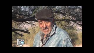 TERMAS ARAUCO LA RIOJA