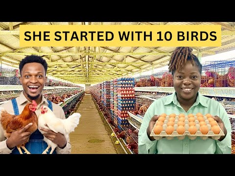 How She is Making Thousands of Dollars From Poultry Farming in Epe Lagos, Nigeria