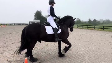 USDF Intro test C