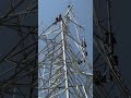 Jin Pole Tower Erection Youtube Linemansafety