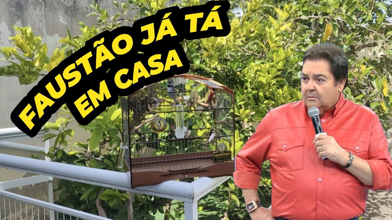 Feliz demais com a nova contratação - Chegando em casa - CRIATÓRIO ITAICANTO