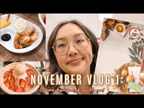 NOV VLOG 1: LETS EAT/HANG OUT/RUN ERRANDS?GROCERY SHOP/TARGET & WALMART