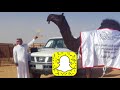 جديد وحصري شيلة الموسم للفرديه لزامة للمالك عبدالله بن ضيدان ابو شنق العرجاني اداء صالح اليامي