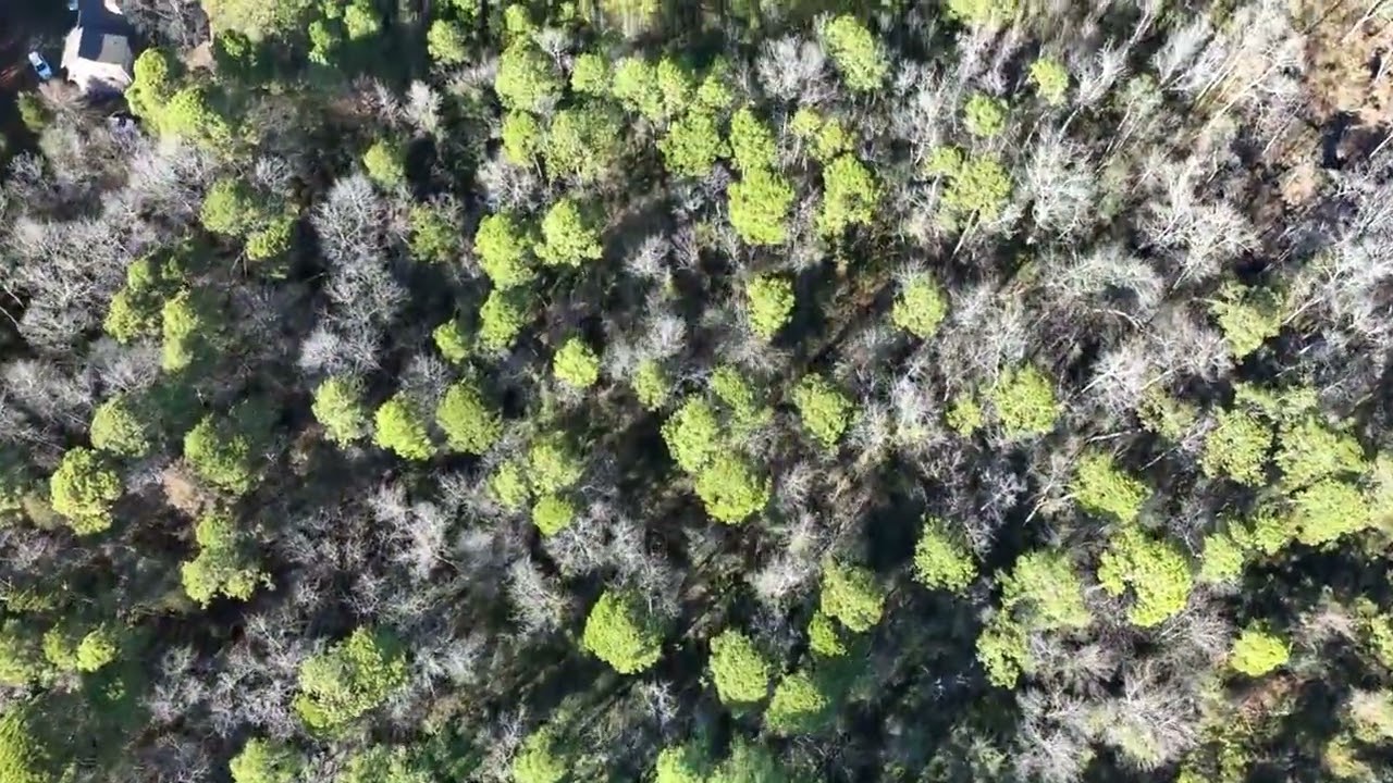 9.1 Acres For Sale in Cumberland County North Carolina!