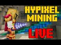 Hypixel SkyBlock IronMan Mining!